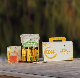 Dx4 Денені теңестіру жүйесі