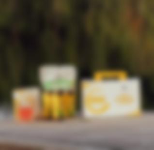 Dx4 Денені теңестіру жүйесі