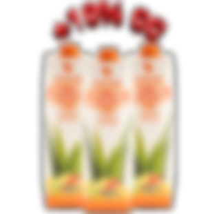 Tripack - Aloe Mango